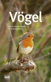 Vögel