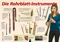 Poster Sekundarstufe: Die Rohrblattinstrumente