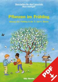 Pflanzen im Frühling