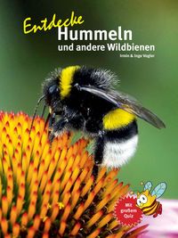 Entdecke Hummeln und andere Wildbienen