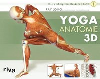 Yoga-Anatomie 3D