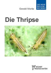 Thripse – Fransenflügler, Thysanoptera