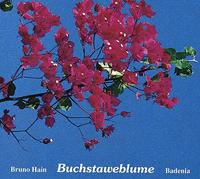 Buchstaweblume