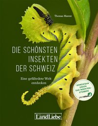 Die schönsten Insekten der Schweiz