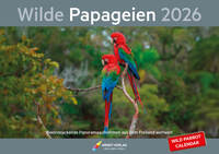 Wilde Papageien 2026