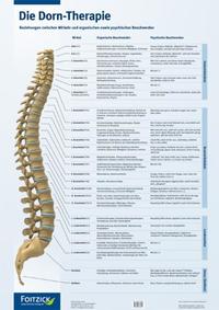 Die Dorn-Therapie, Poster