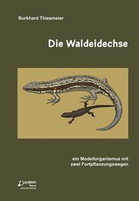 Die Waldeidechse