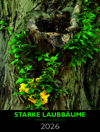 Starke Laubbäume 2026