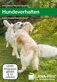 Hundeverhalten nach HundeTeamSchule®