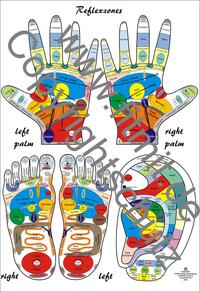 Reflexzones - Reflexology Education Chart