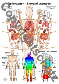 Reflexzonen - Energieflussmodel