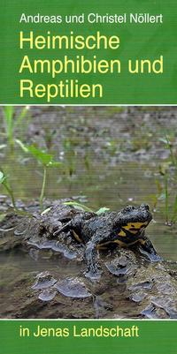 Heimische Amphibien und Reptilien