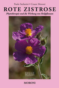 Rote Zistrose