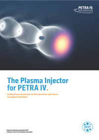 The Plasma Injector for PETRA IV: Enabling Plasma Accelerators for Next-generation Light Sources