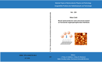 Novel semiconductor nano-structures based on functional organophosphonate interfaces