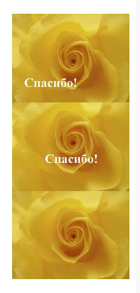 Spasiba! - Danke!