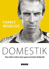 Domestik