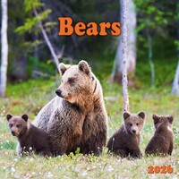 Bears 2026