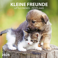 Kleine Freunde/Little Friends 2026