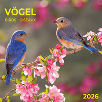 Heimische Vögel 2026