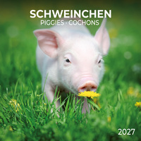 Schweinchen / Piggies 2027