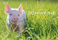 Schweine Kalender 2027