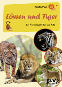 Kurzprojekt Löwen und Tiger