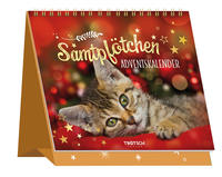 TRÖTSCH – Aufstell Adventskalender „Samtpfötchen“ | Weihnachtskalender mit 24 Zitaten für eine besinnliche Weihnachtszeit