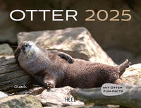 Otter Kalender 2025 Wandkalender