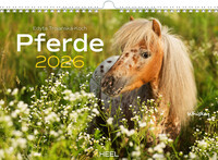 Pferde Kalender 2026 Wandkalender