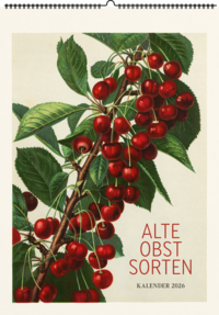 Alte Obstsorten. Wandkalender 2026