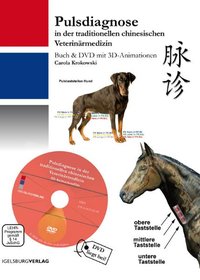 Pulsidagnose in der chinesischen Veterinärmedizin