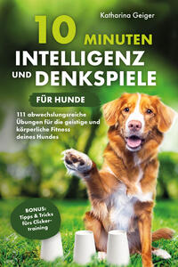 10 Minuten Intelligenz- und Denkspiele für Hunde