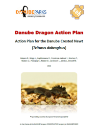 Danube Dragon Action Plan