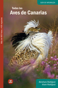 Todas las Aves de Canarias