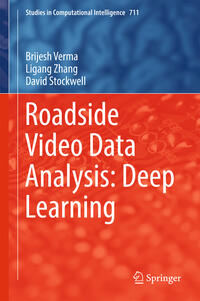 Roadside Video Data Analysis